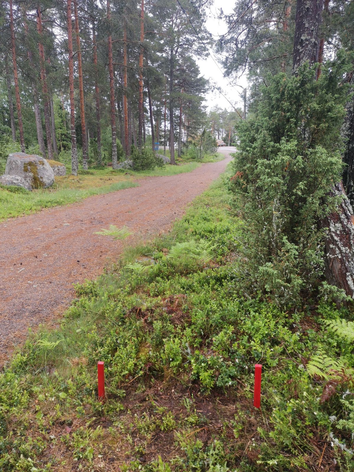 18. väylän droppari.