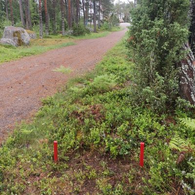 18. väylän droppari.