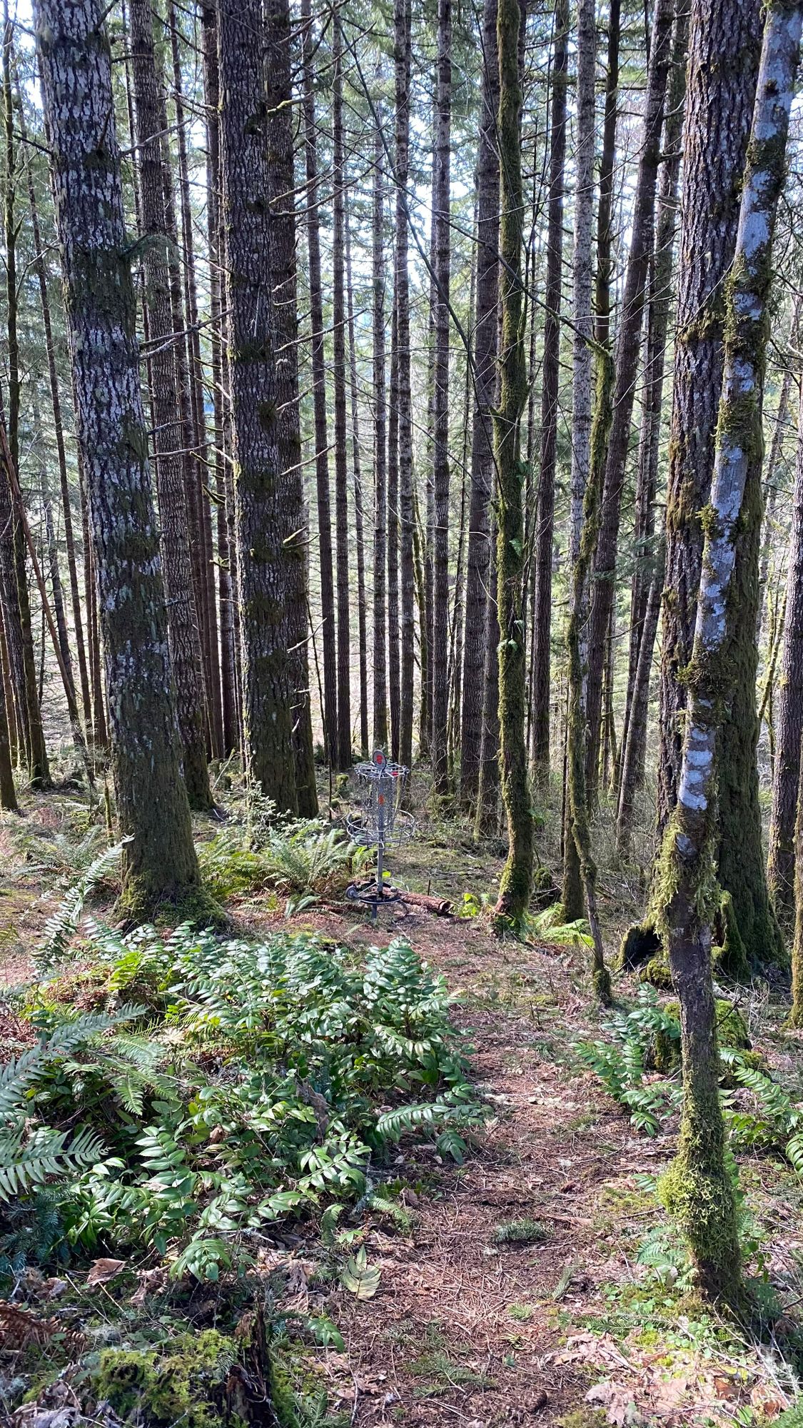 Another look at hole 2 on the way to hole 3