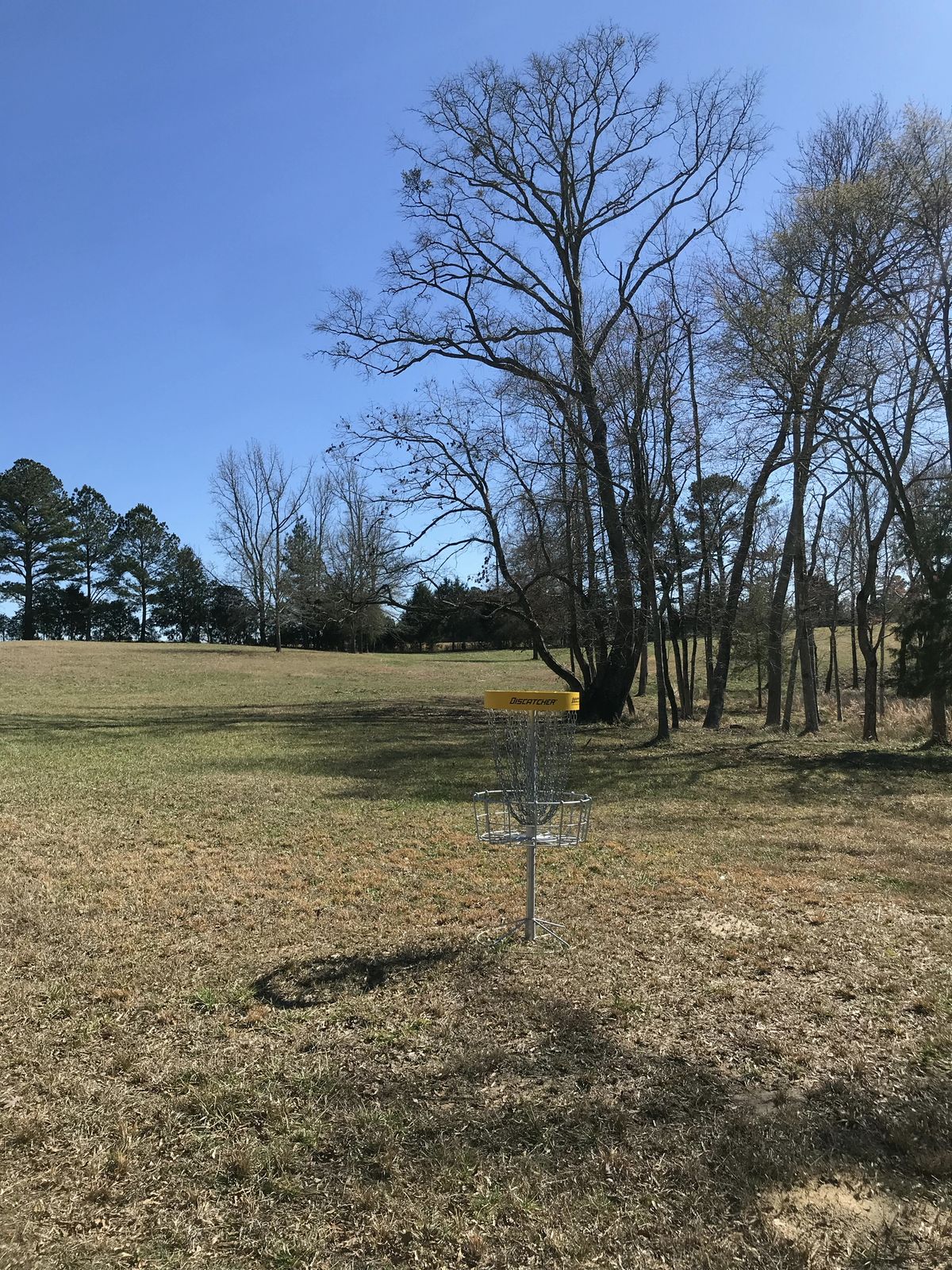Hole 13 - basket to tee