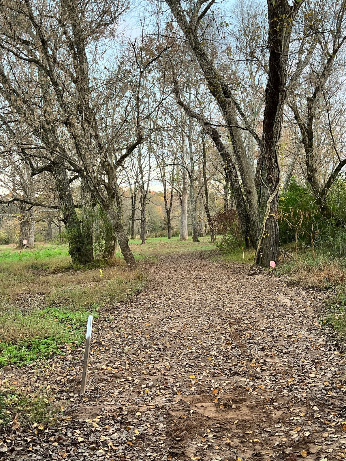 Hole 14