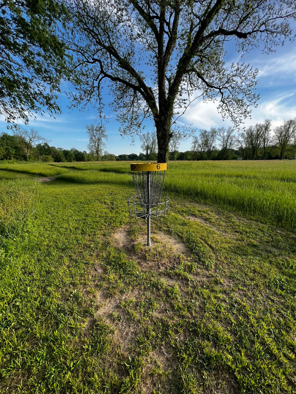 Hole #6 Basket