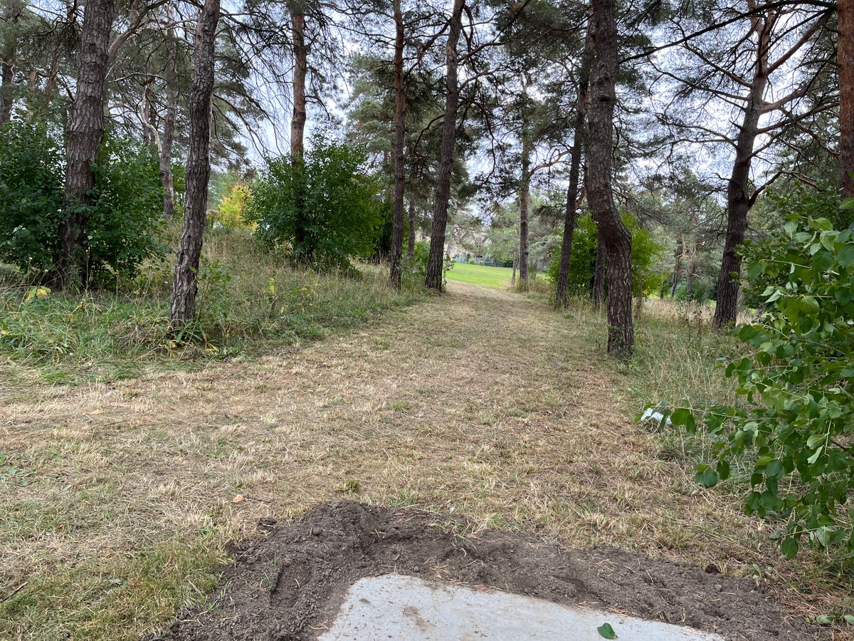 Hole 5