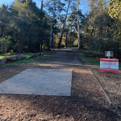 Good tee pads- thanks to the volunteers for keeping her clean - Sierra