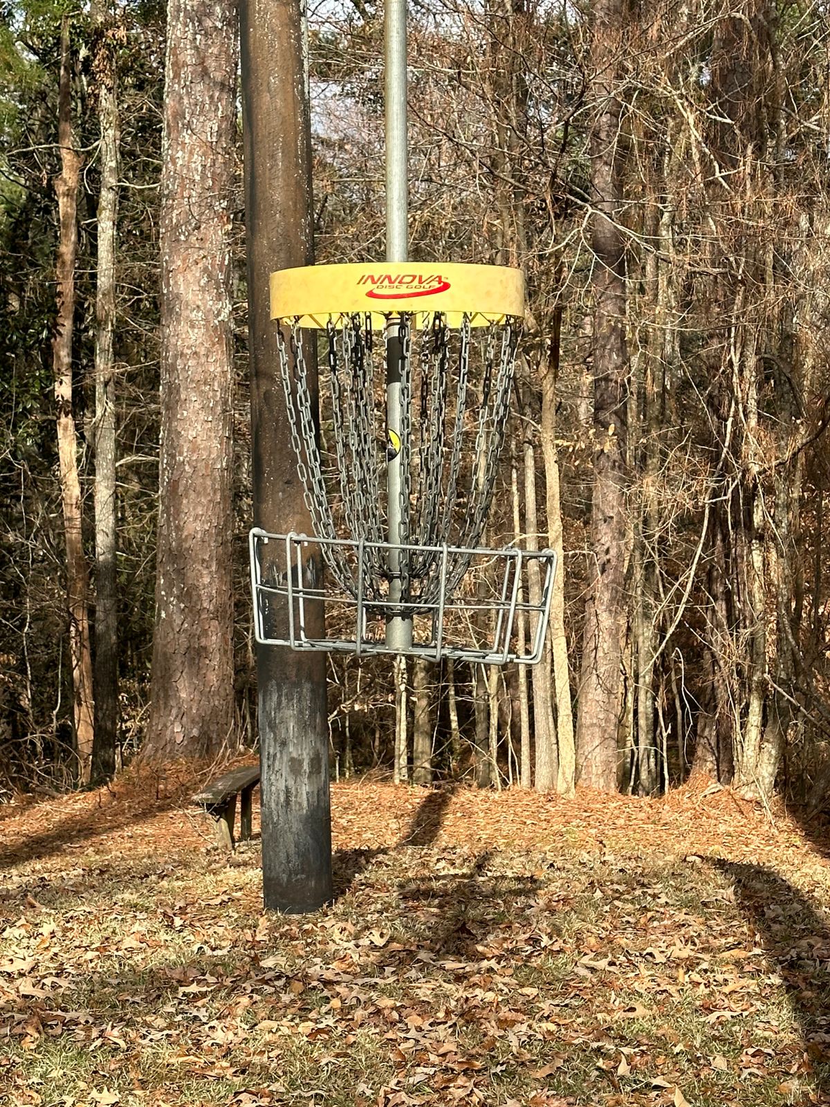 Hole 13 hanging basket