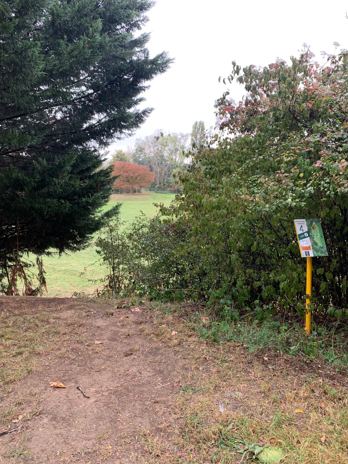 Hole 4
