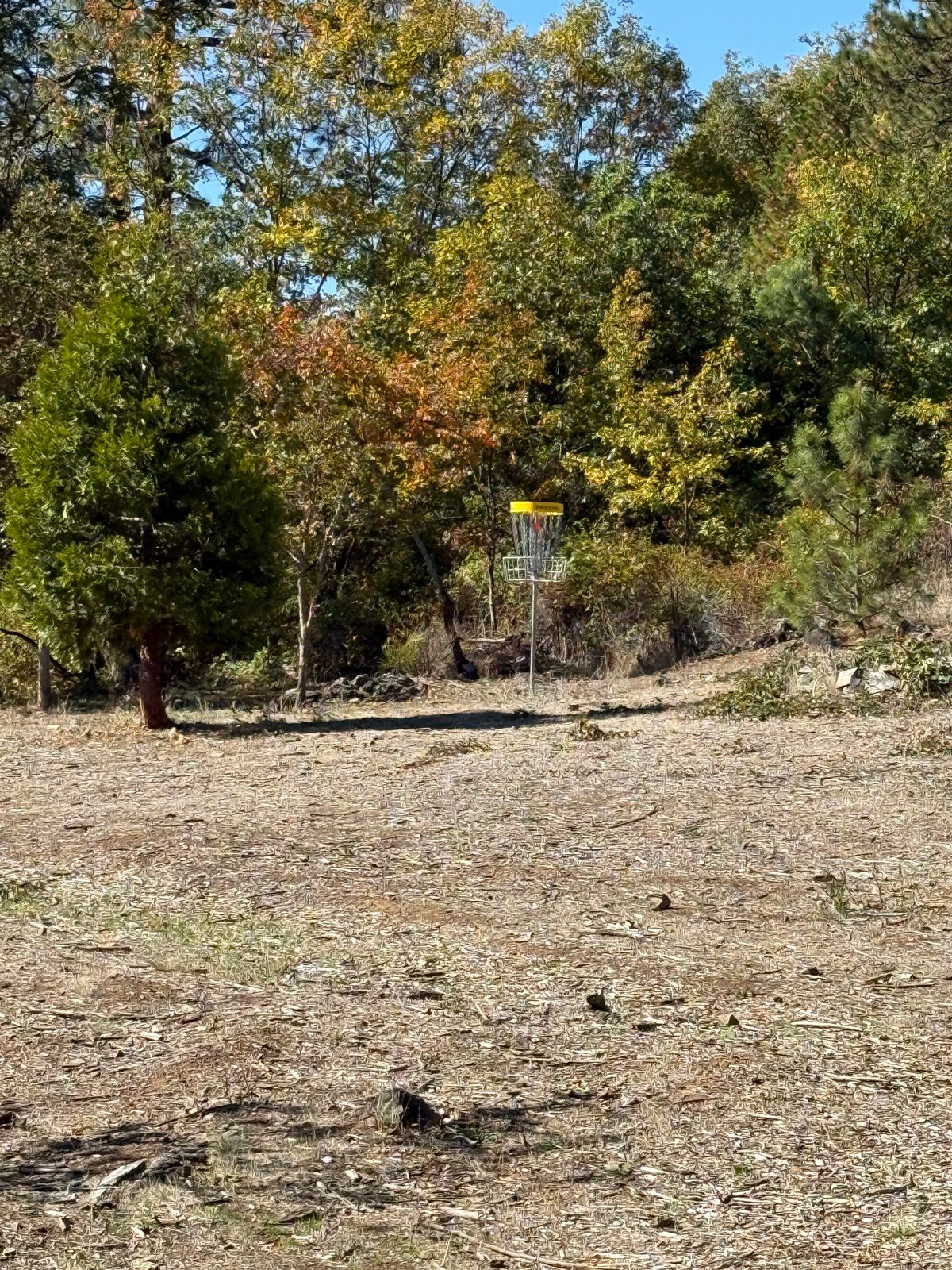 Hole #4 is flying high now.