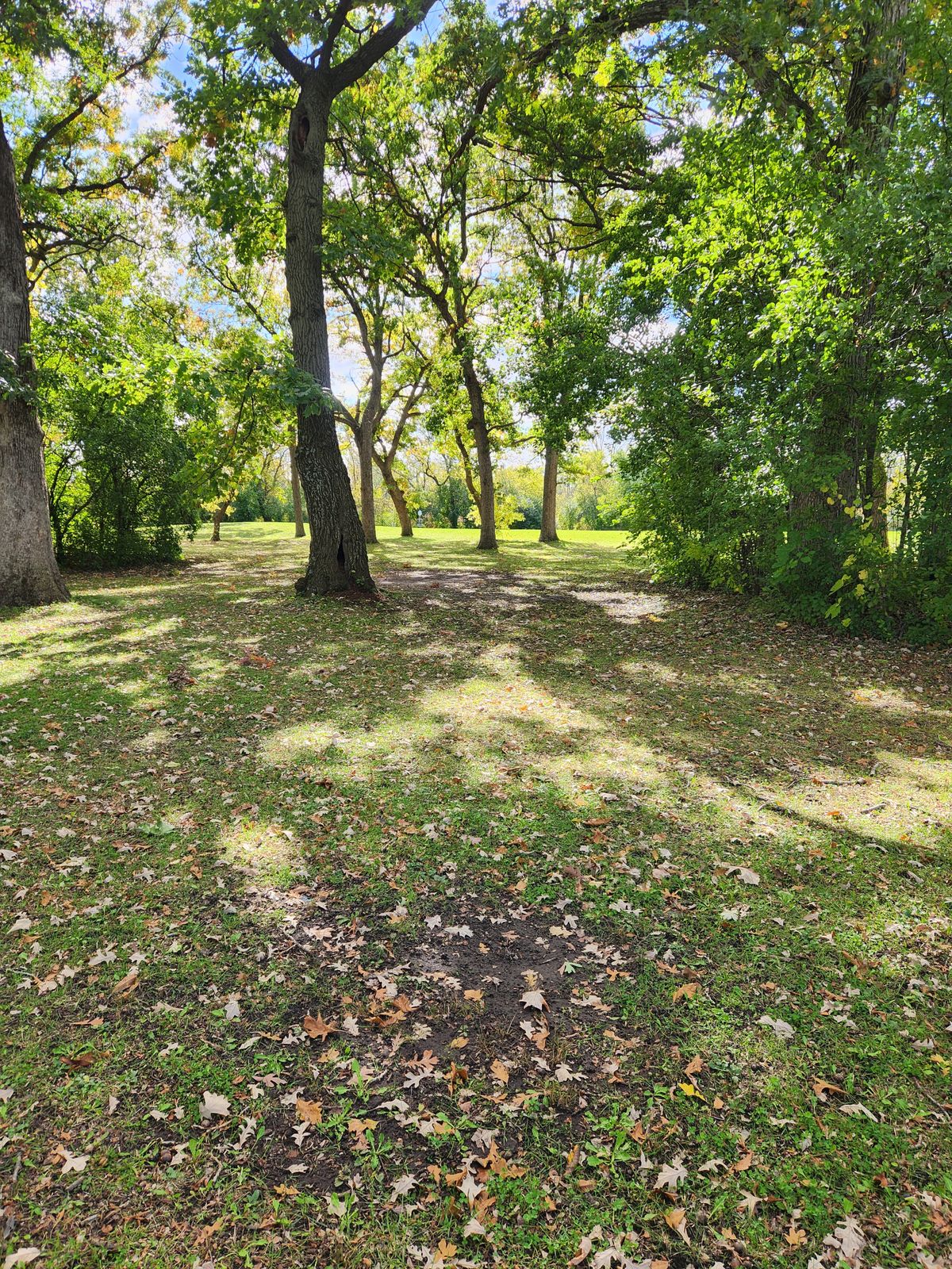 Hole 14 short tee