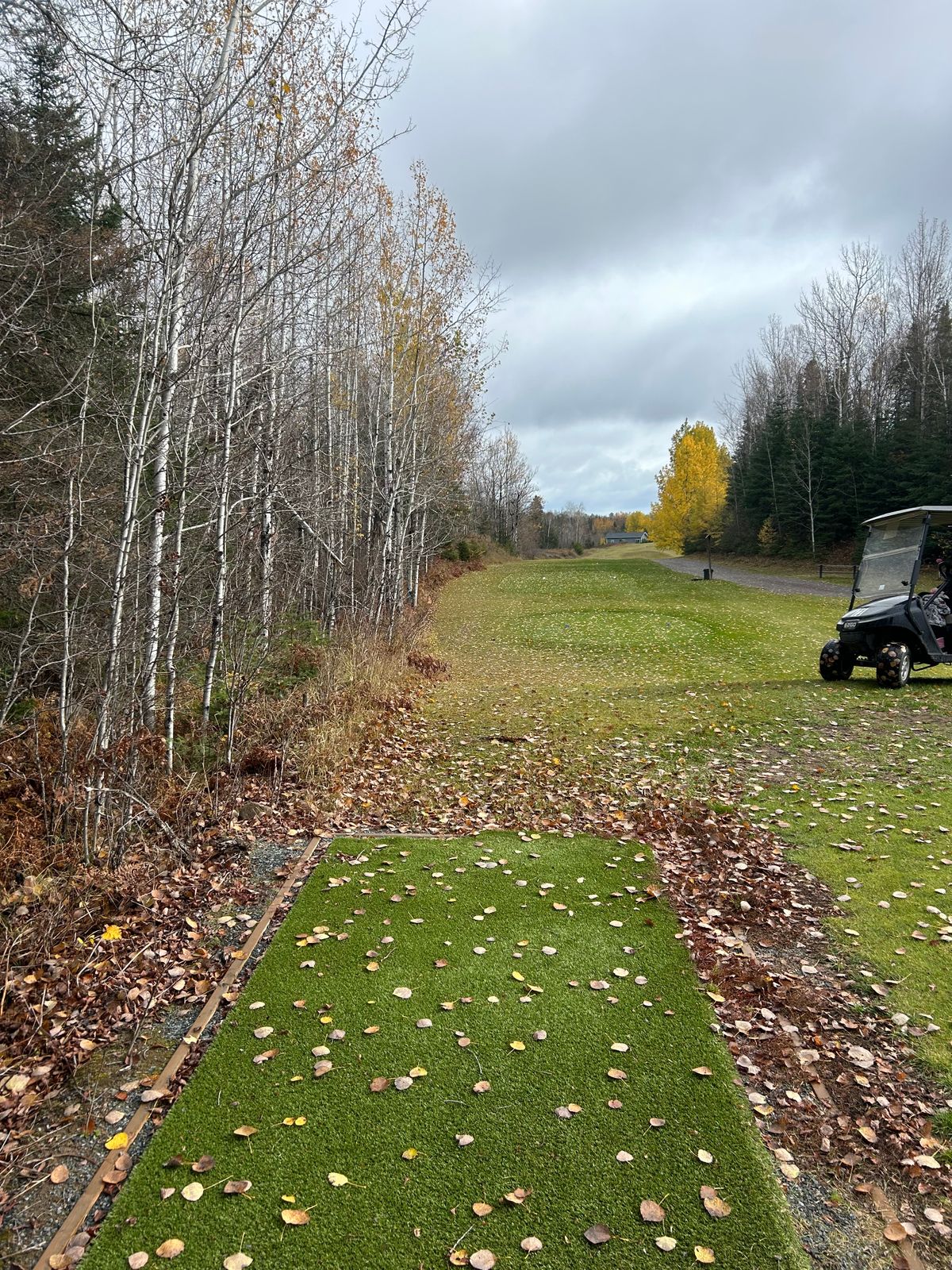 Hole 6 teepad - thousand footer