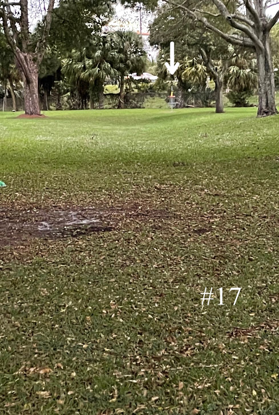 Hole 17, Short Tee
