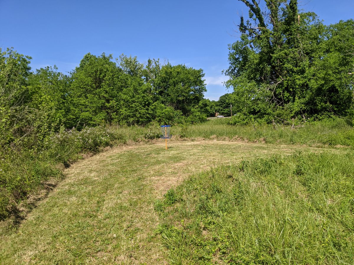 Hole 4 green