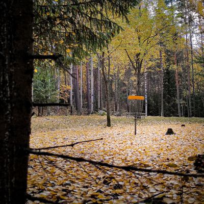 Hole 19, last days of september.