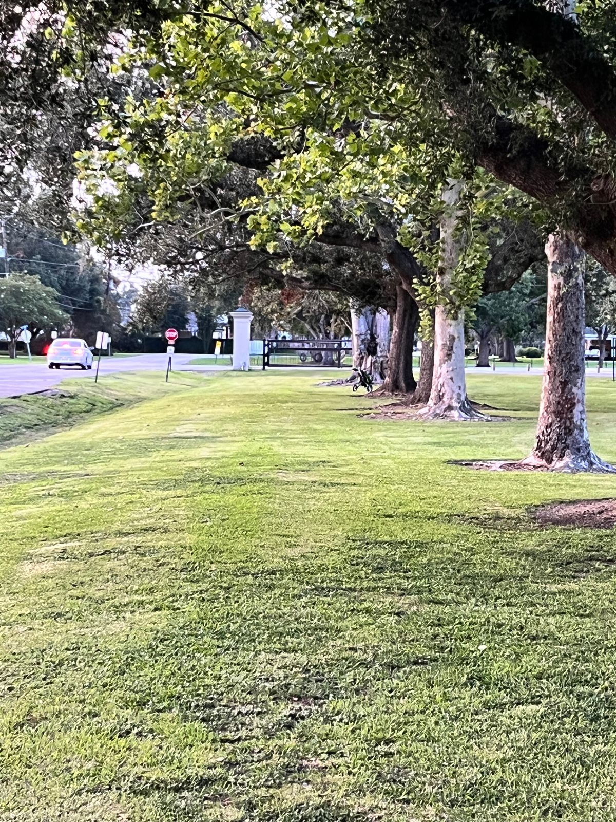 Hole 4 Fairway (cart represents target)