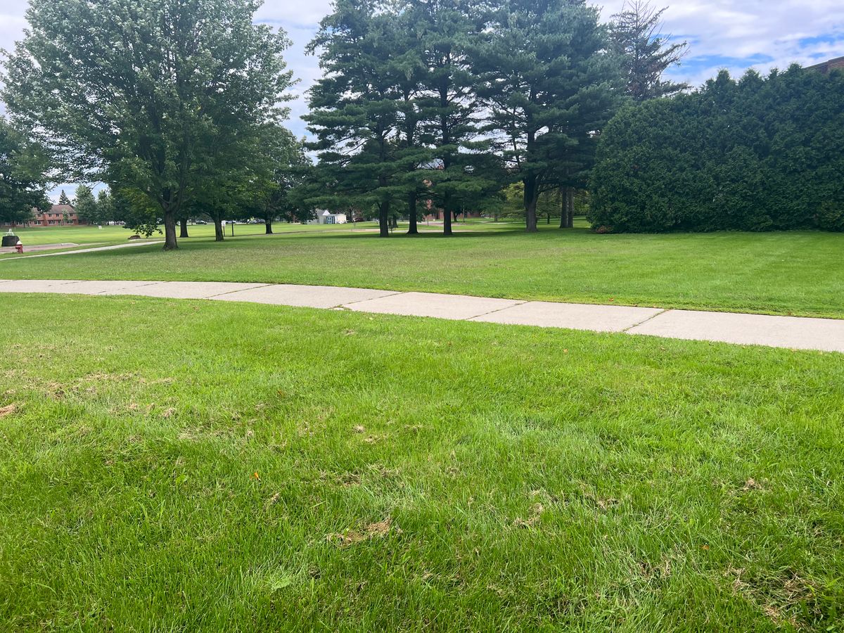 Hole 5 tee pad
