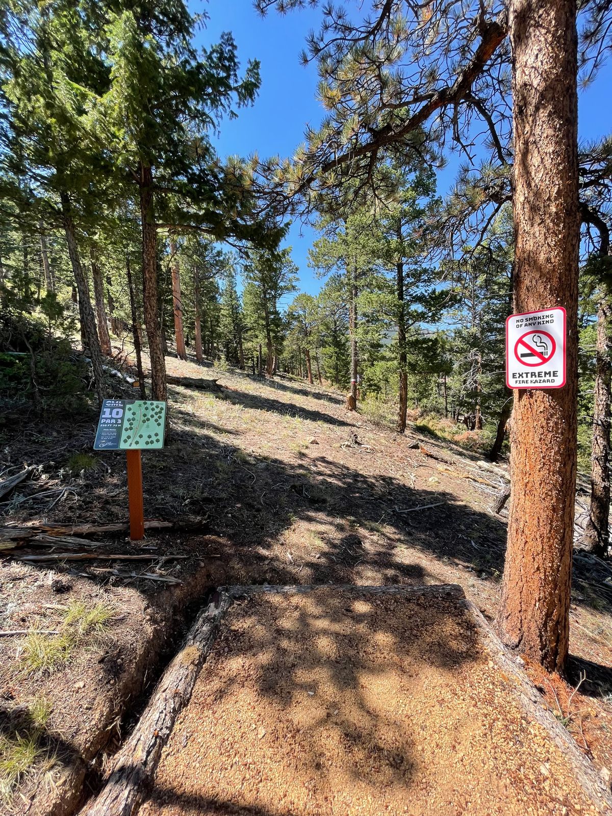 Hole 10 tee