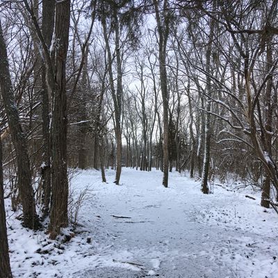 Hole 1