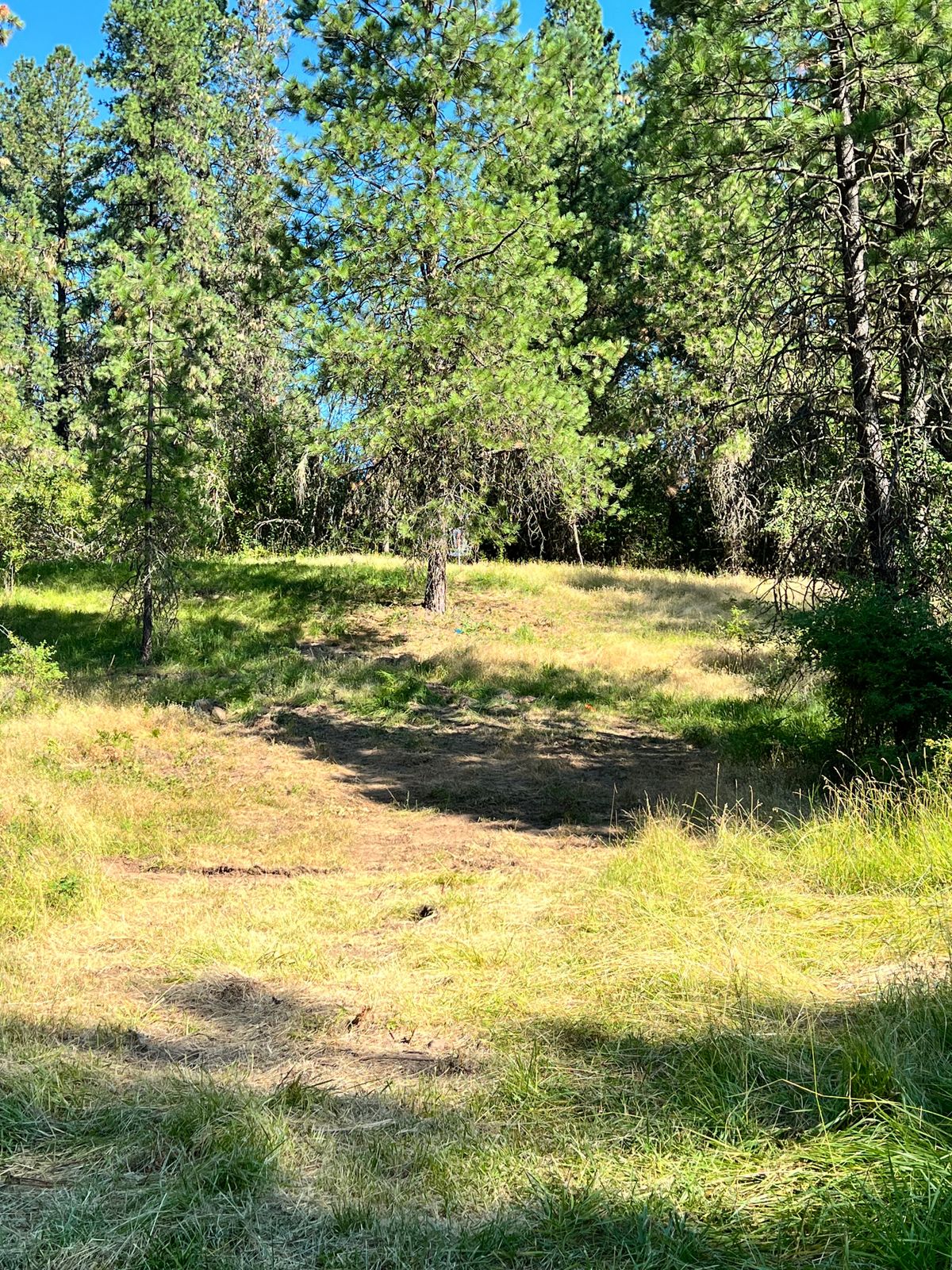 Hole 8 approach. Par 4 uphill
