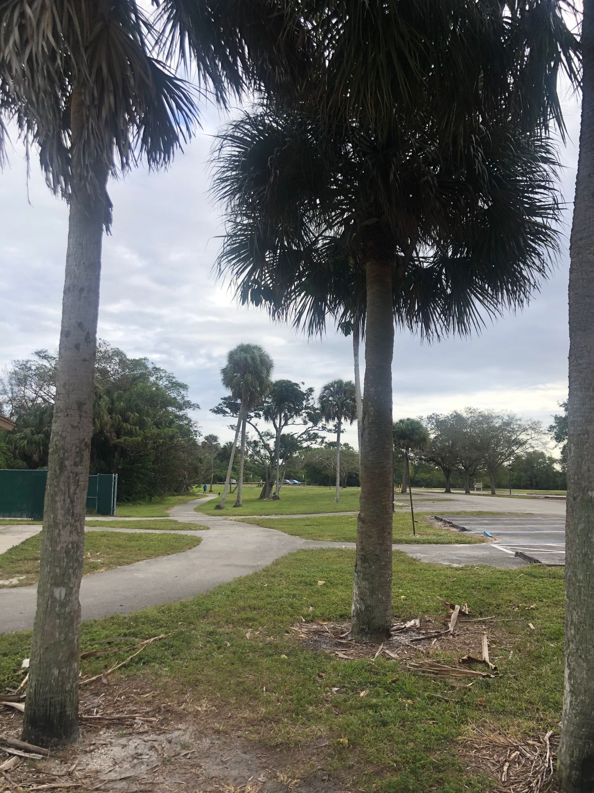 Hole 15