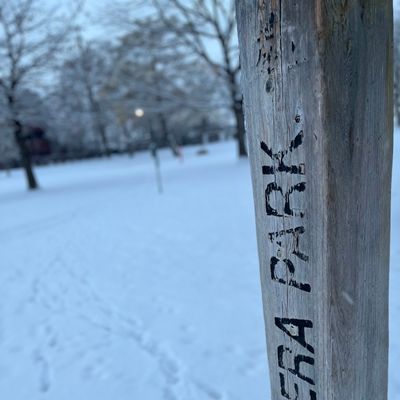SCERA Park!