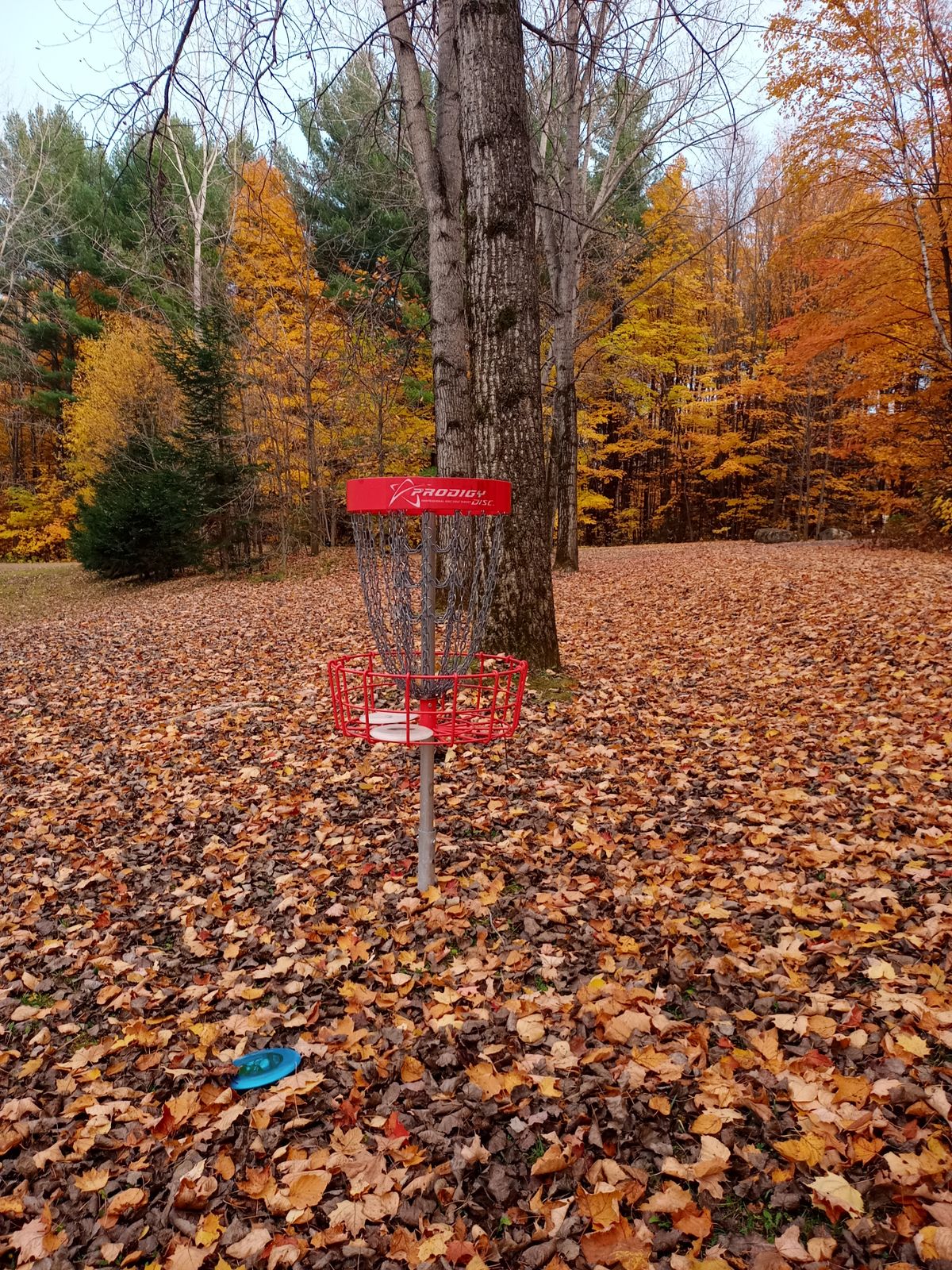 Autumn in Rigaud