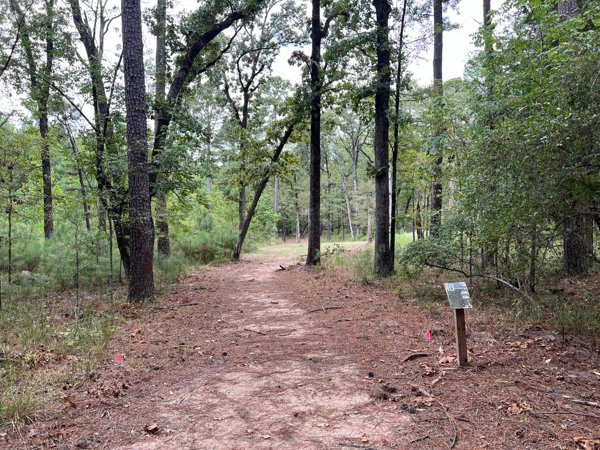 Hole 10 tee