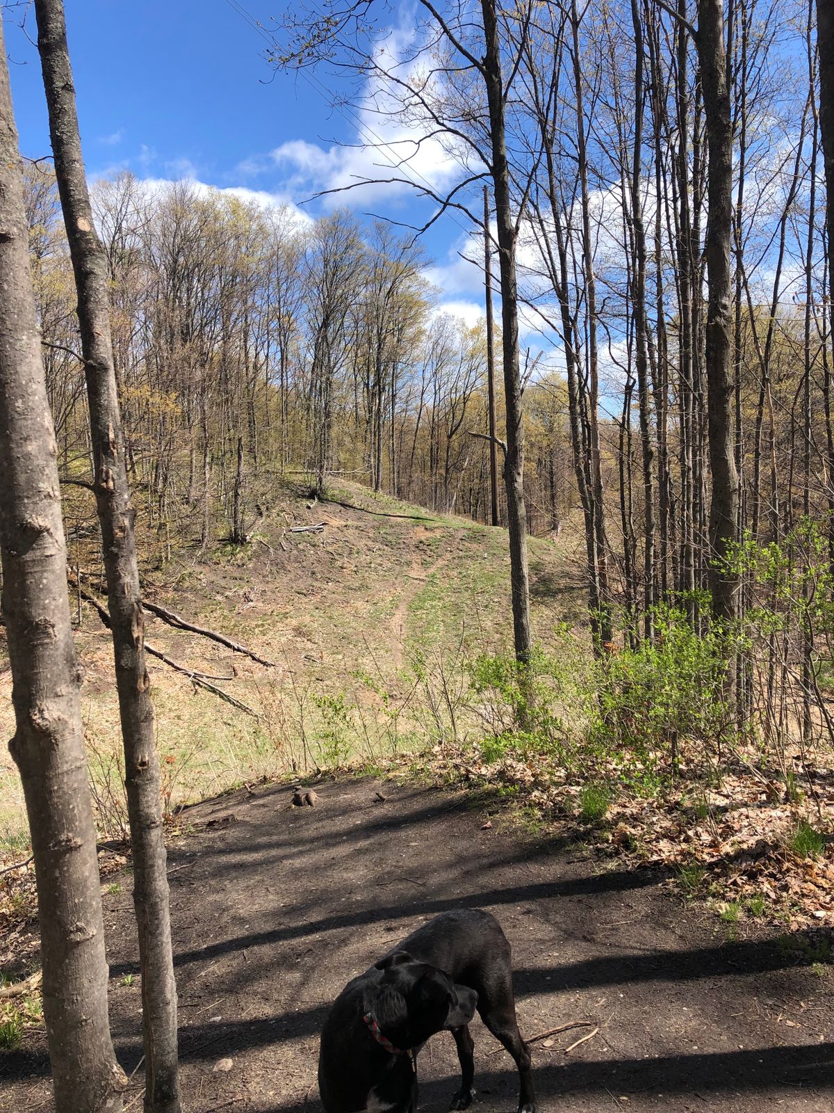 Hole 15