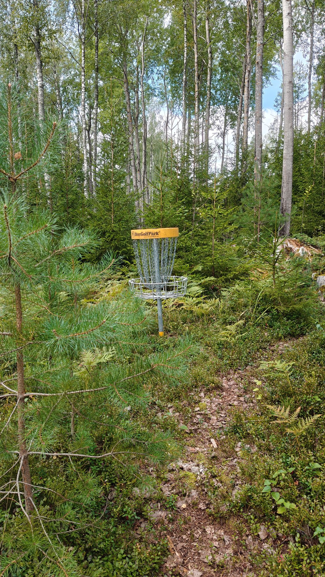 Hole 4