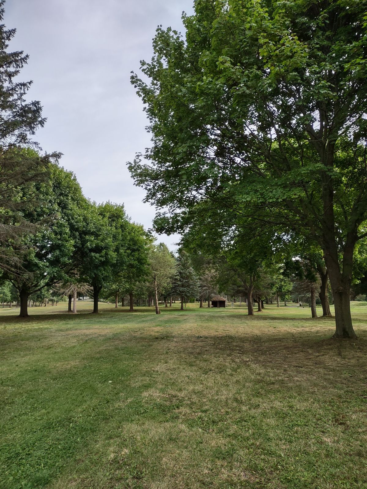Hole 5 spproach