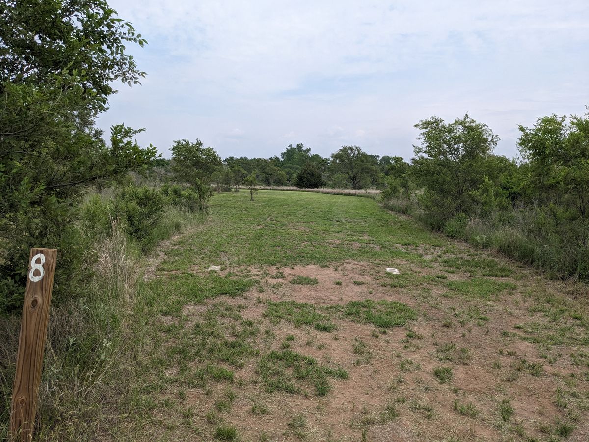 Hole #8