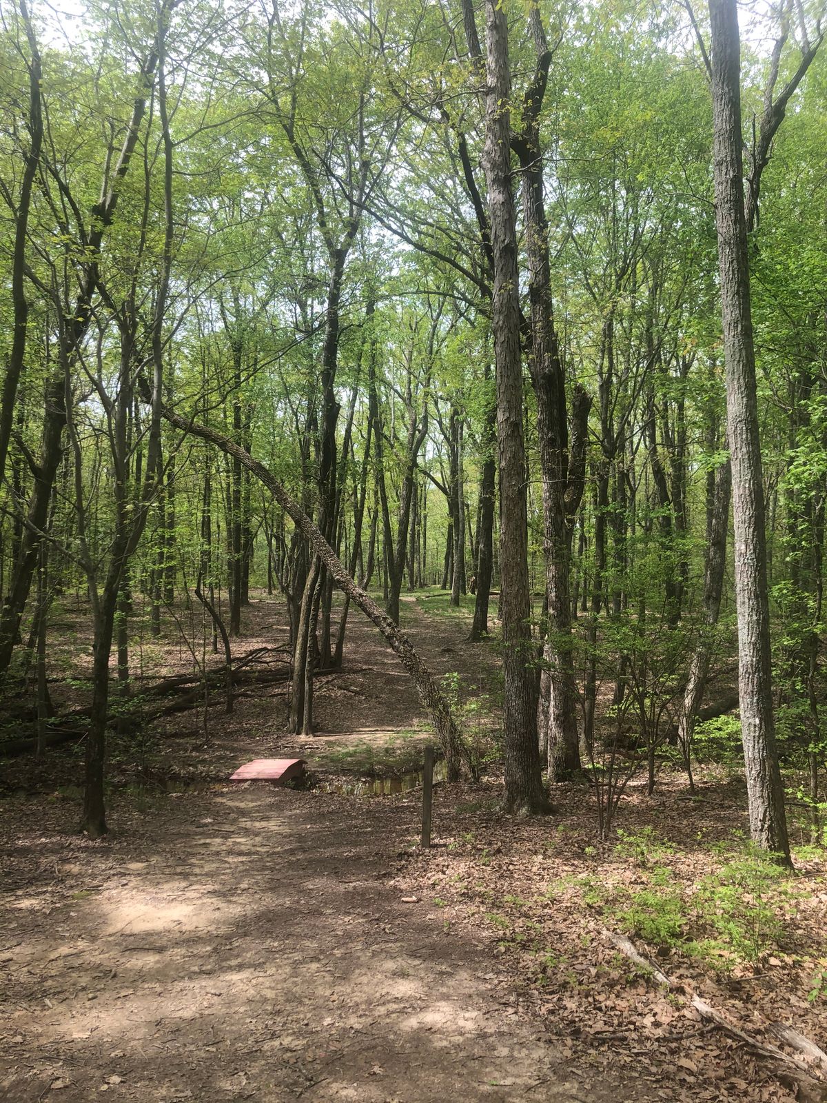 Hole 17