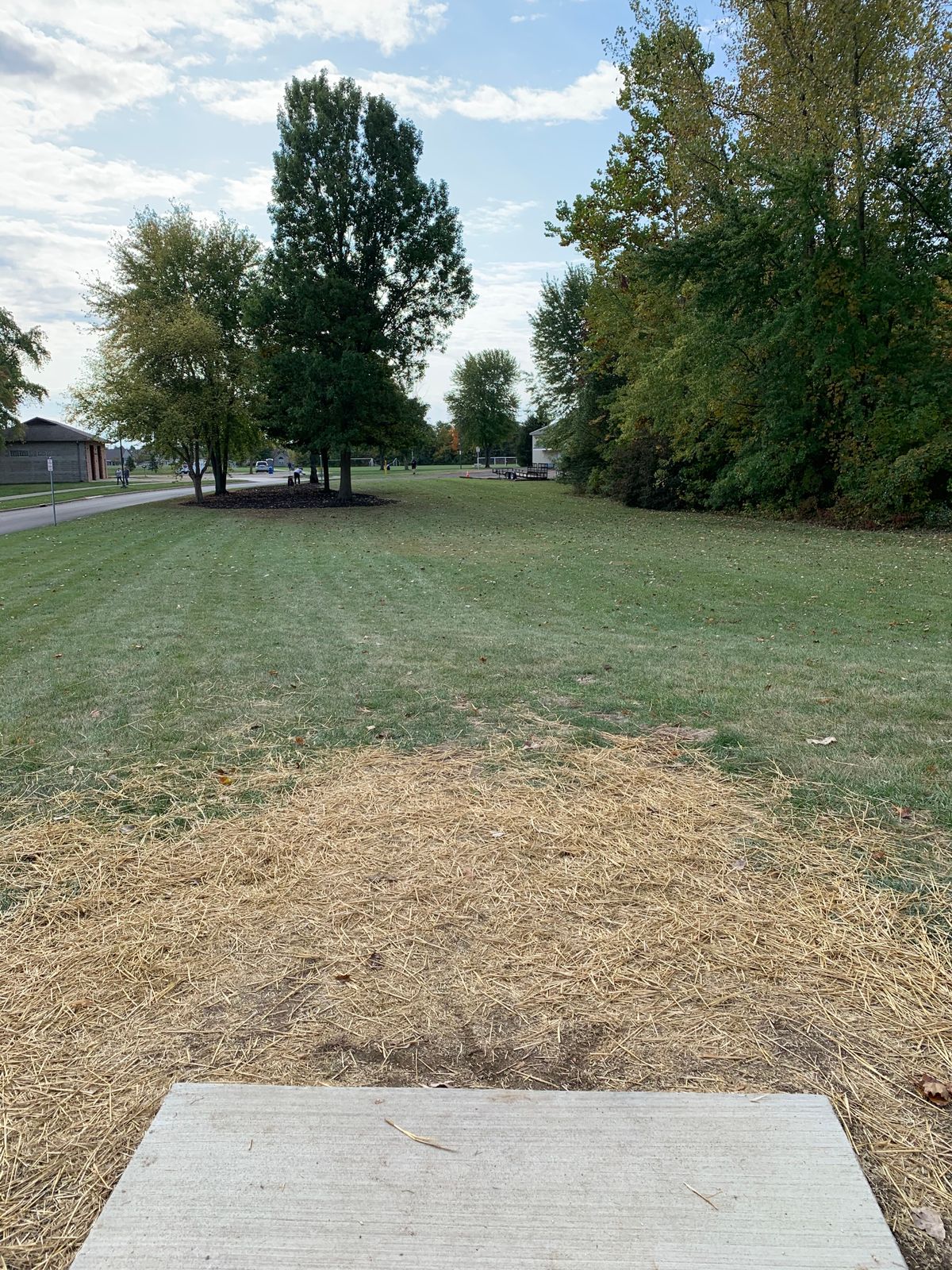 Hole 7 Tee