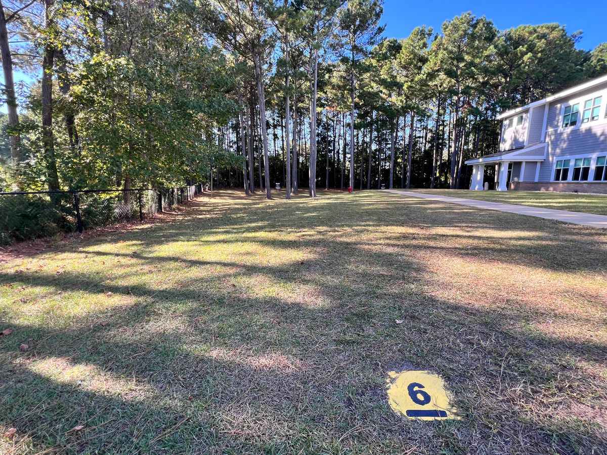 Hole 6 have to walk fairway to tee  from basket