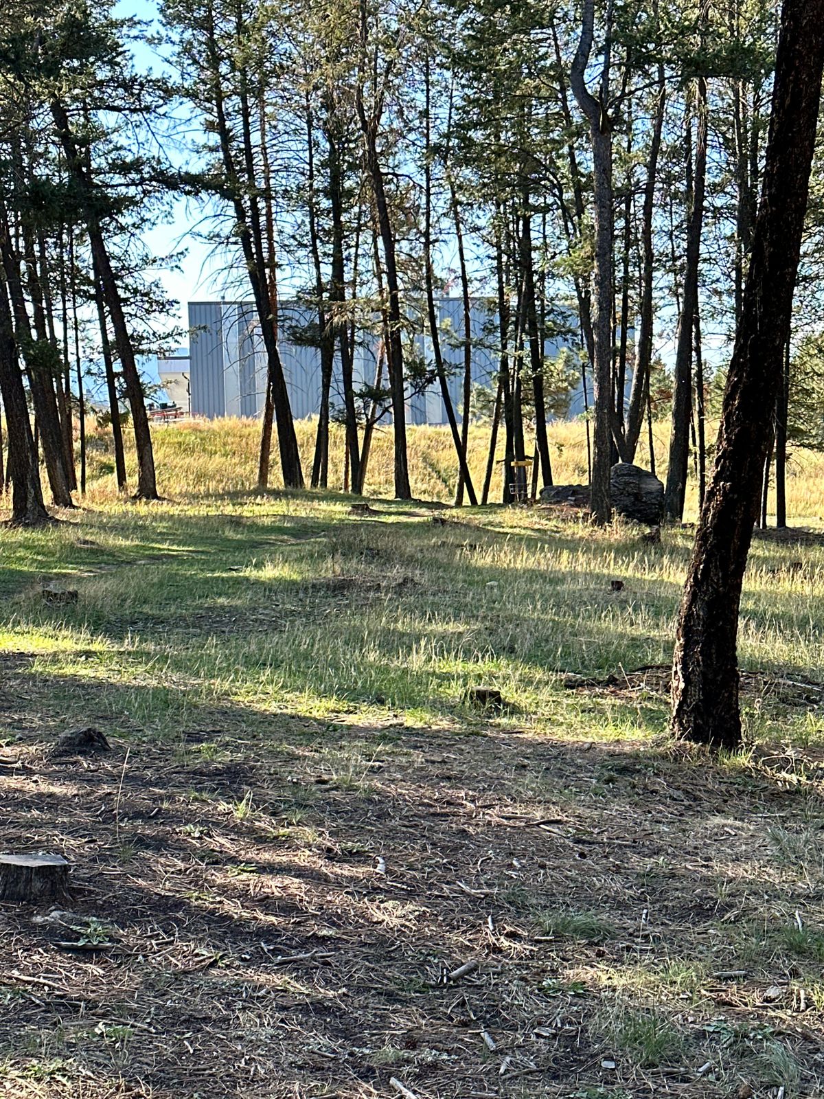 Hole 15