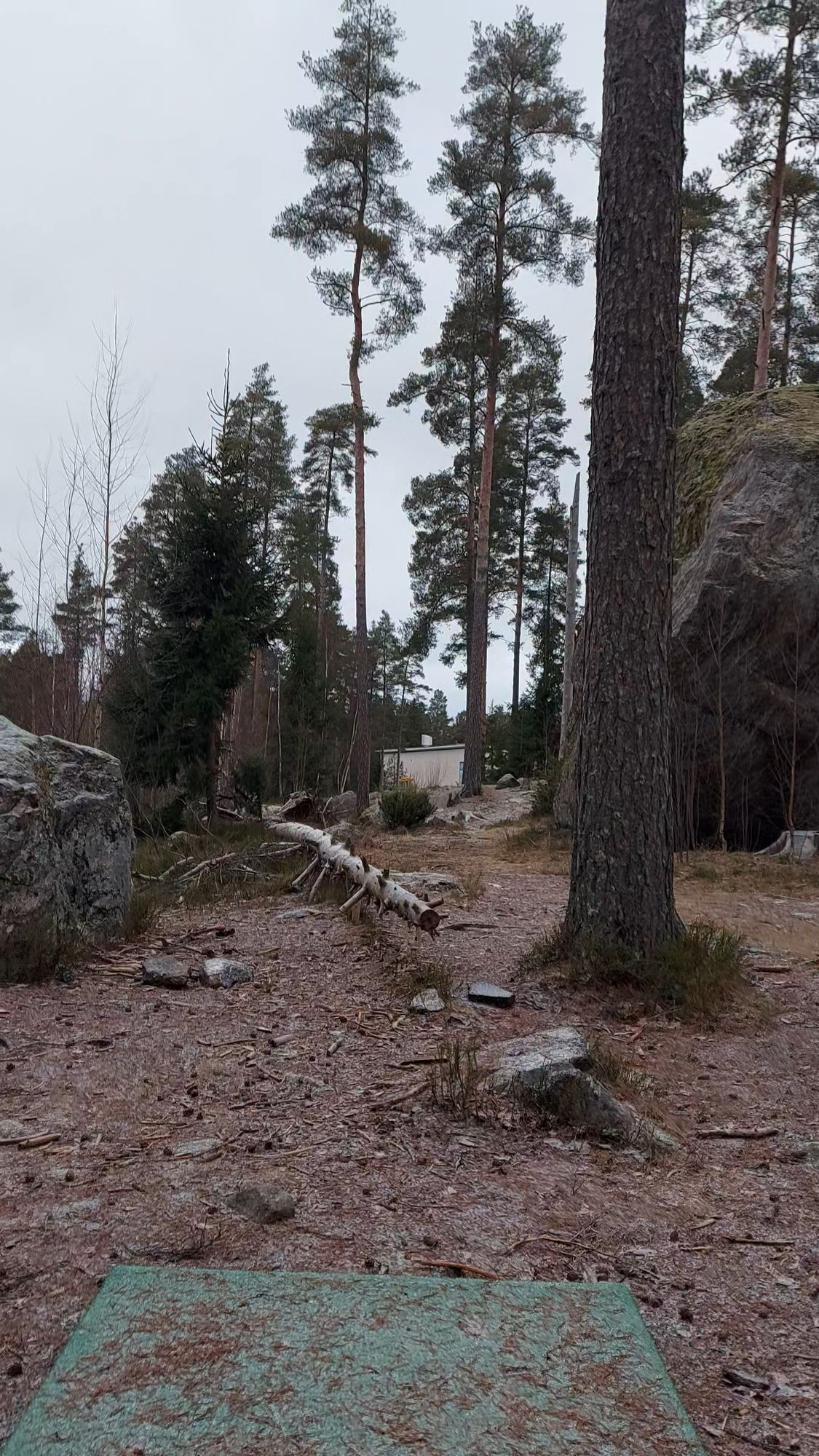 Väylä 3