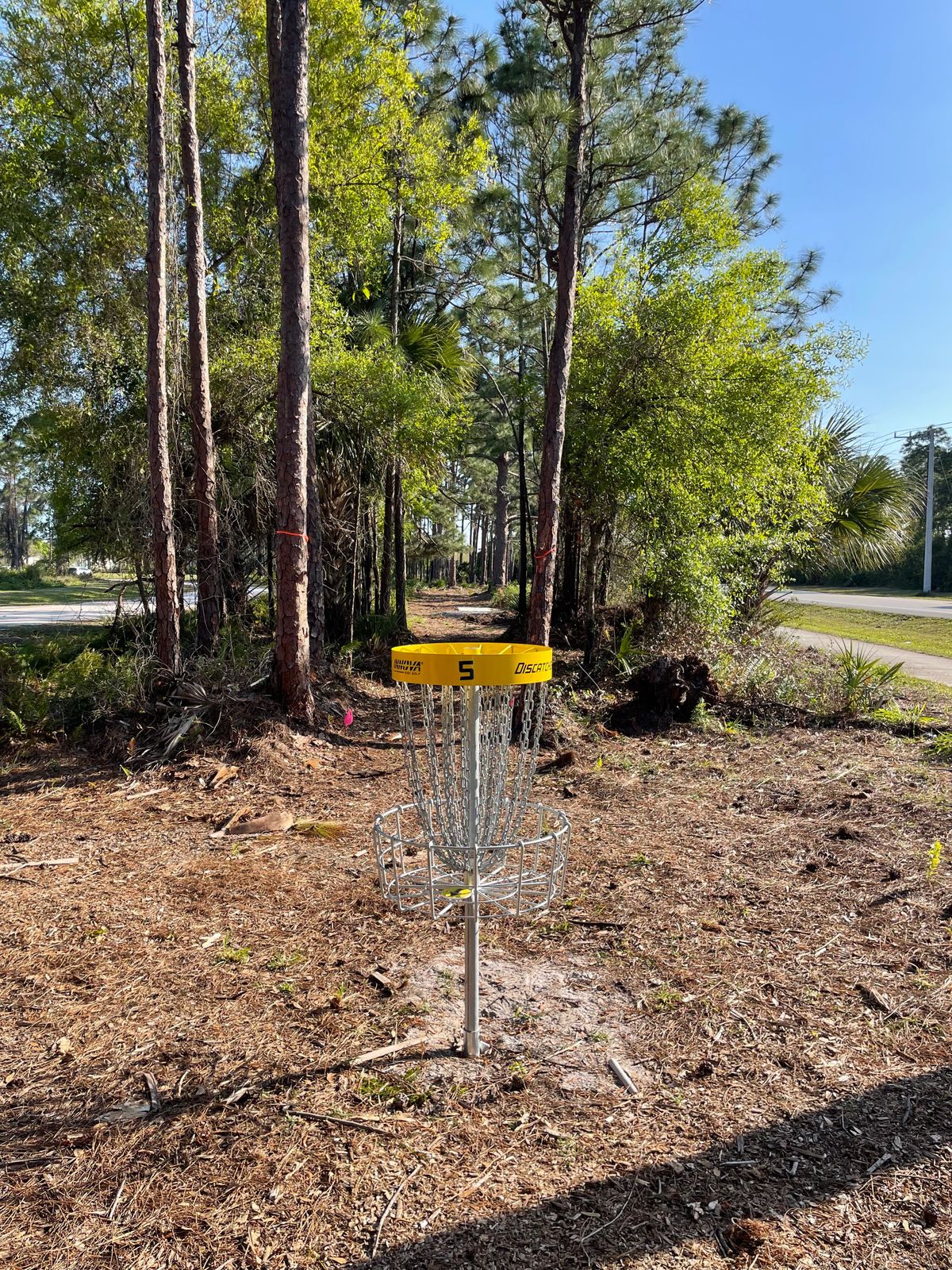 Basket 5 - If Mandos are missed play from the marked trees with penalty stroke.