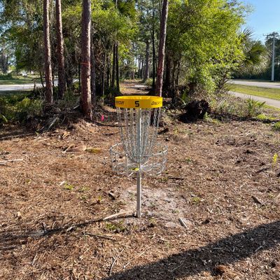 Basket 5 - If Mandos are missed play from the marked trees with penalty stroke.