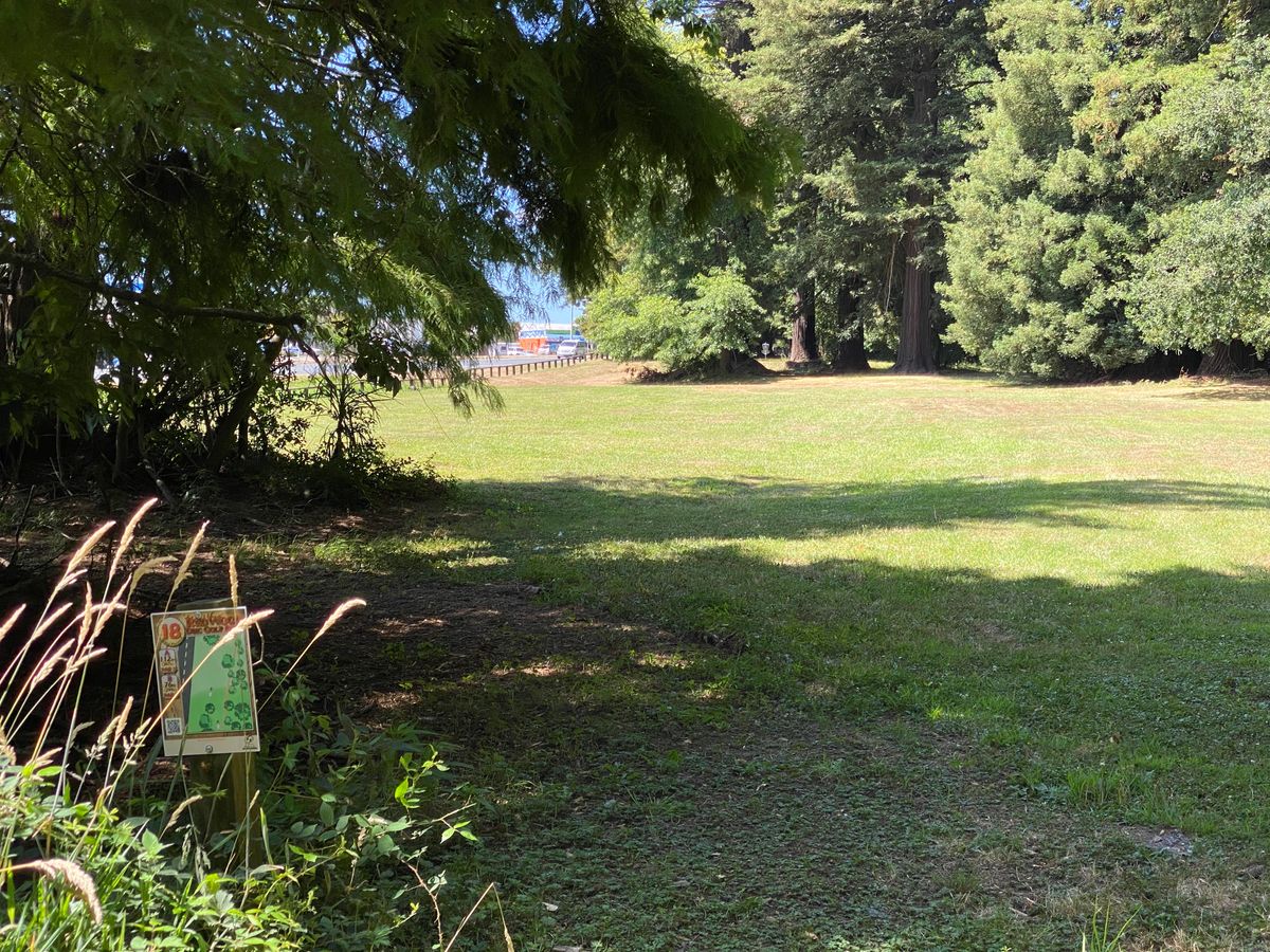 Hole 18 just back behind the trees