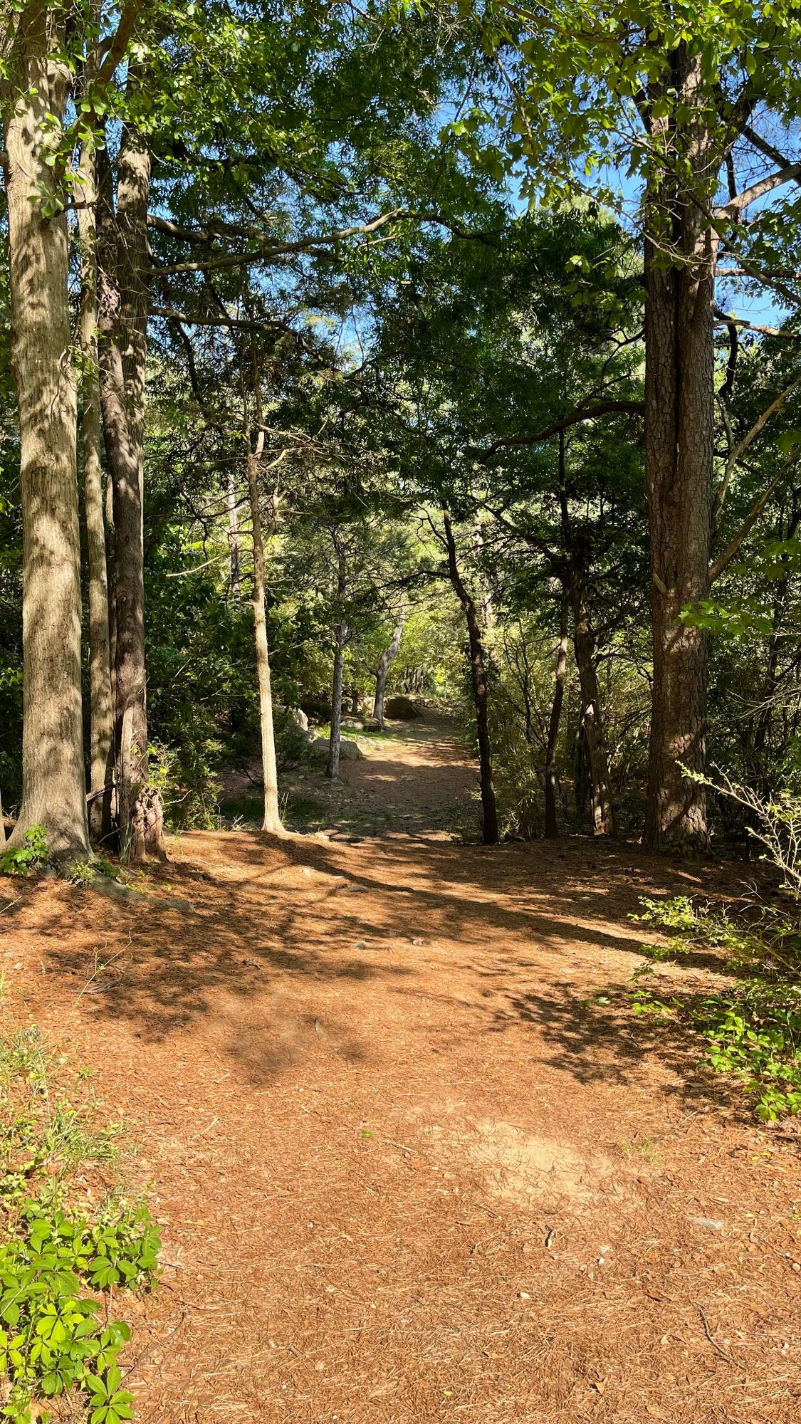 Hole 2