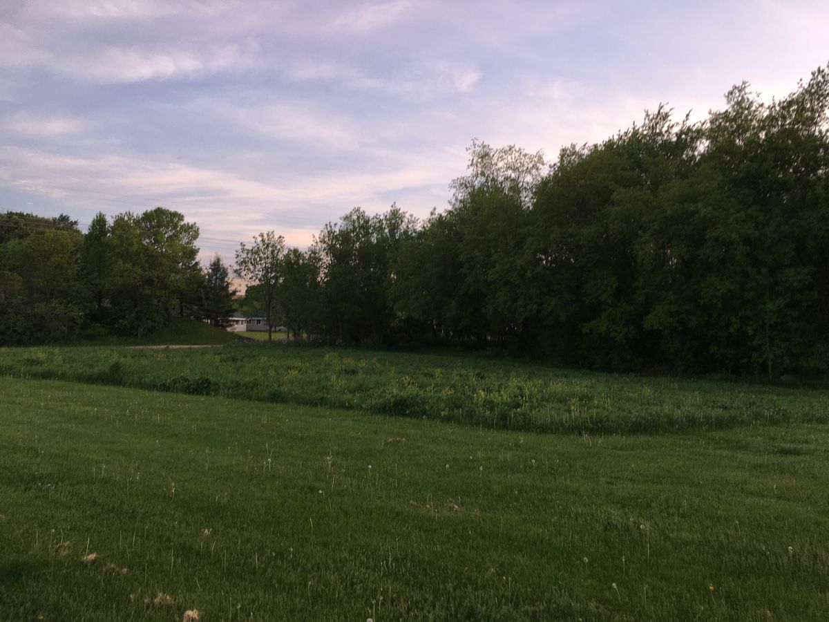 The prairie
