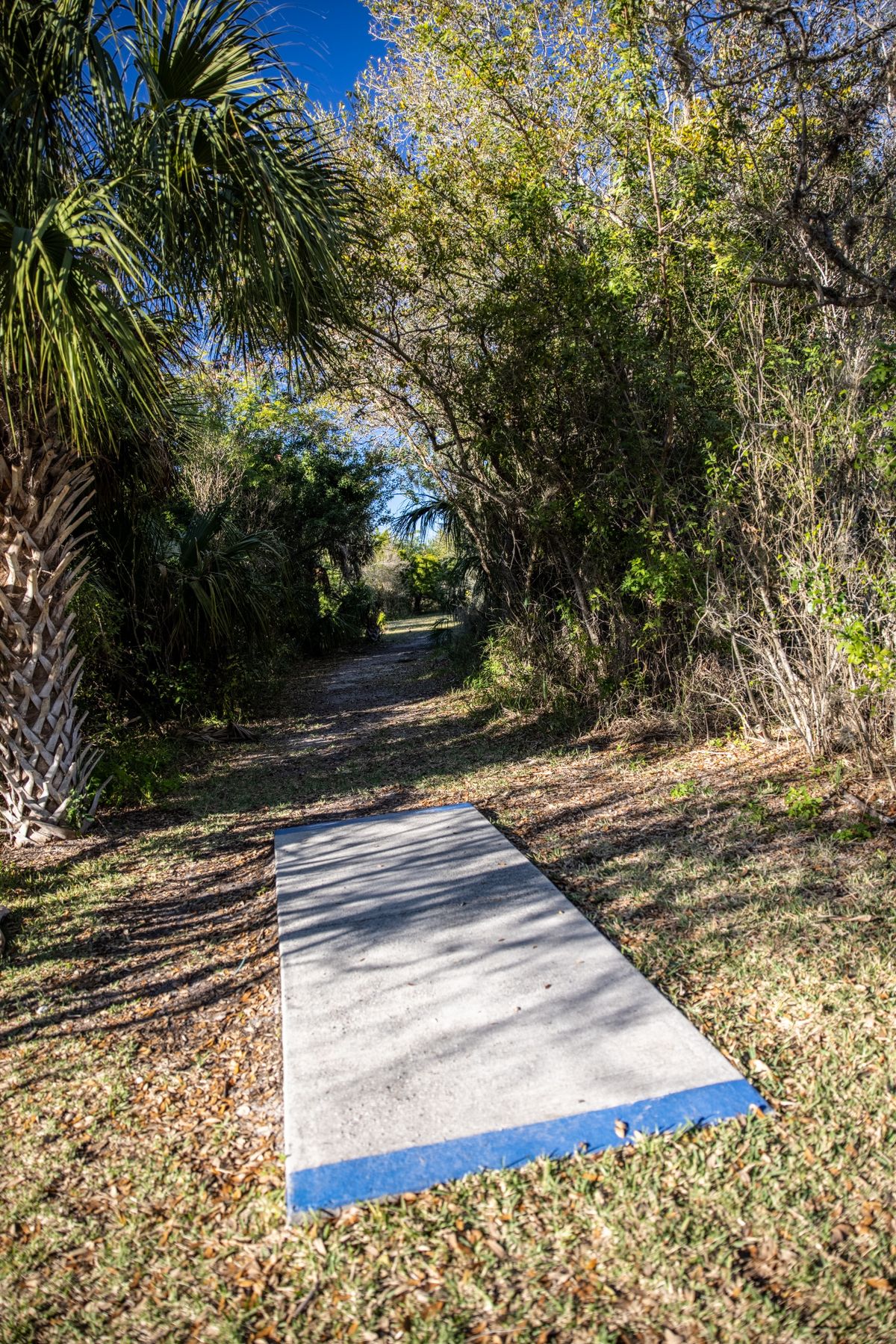 Hole 3 long pads.