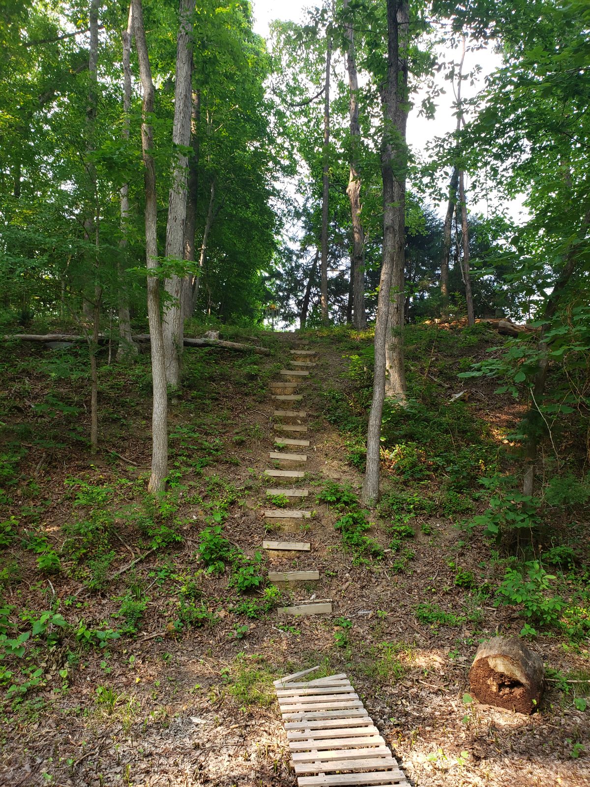 Hole 14 half way up the fairway. Throwing up hill about 15 to 18ft the basket is straight ahead.