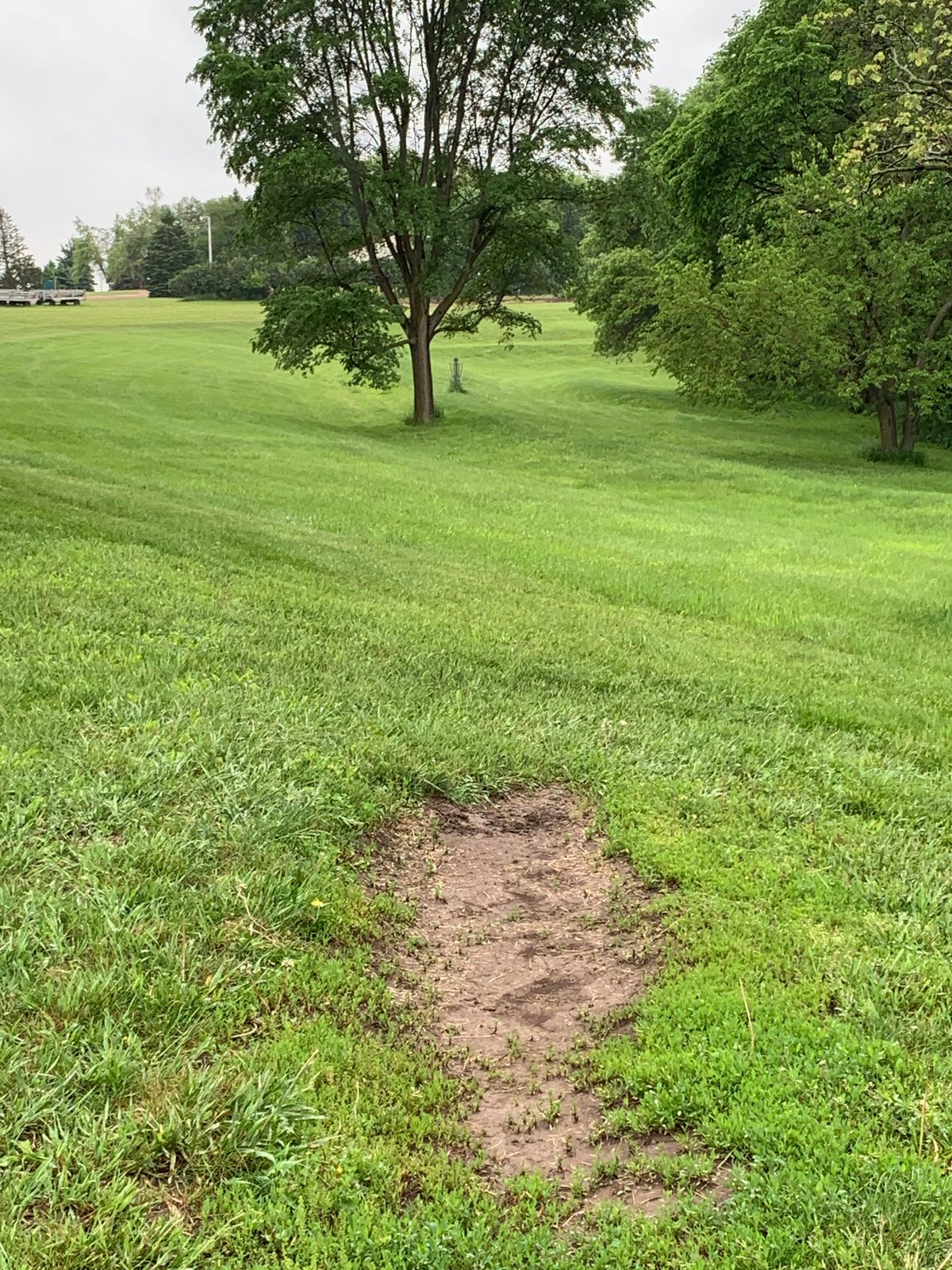 Hole # 1 Tee