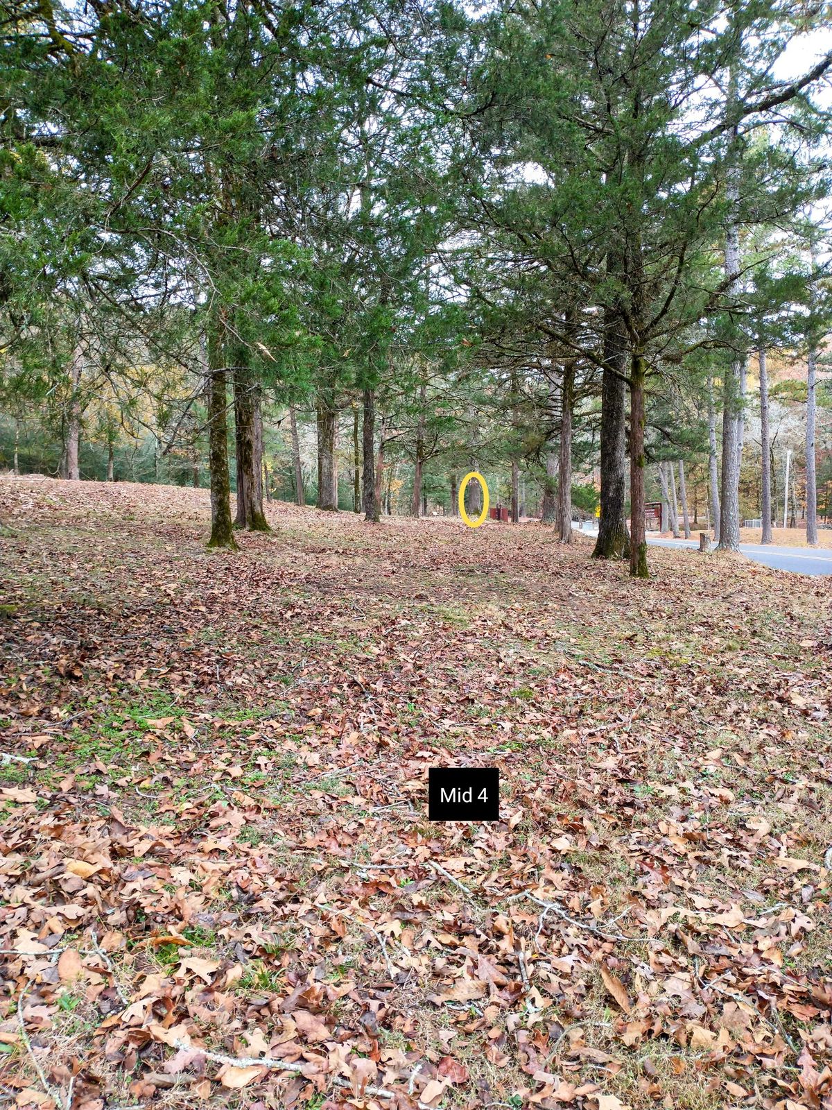 Mid 4
