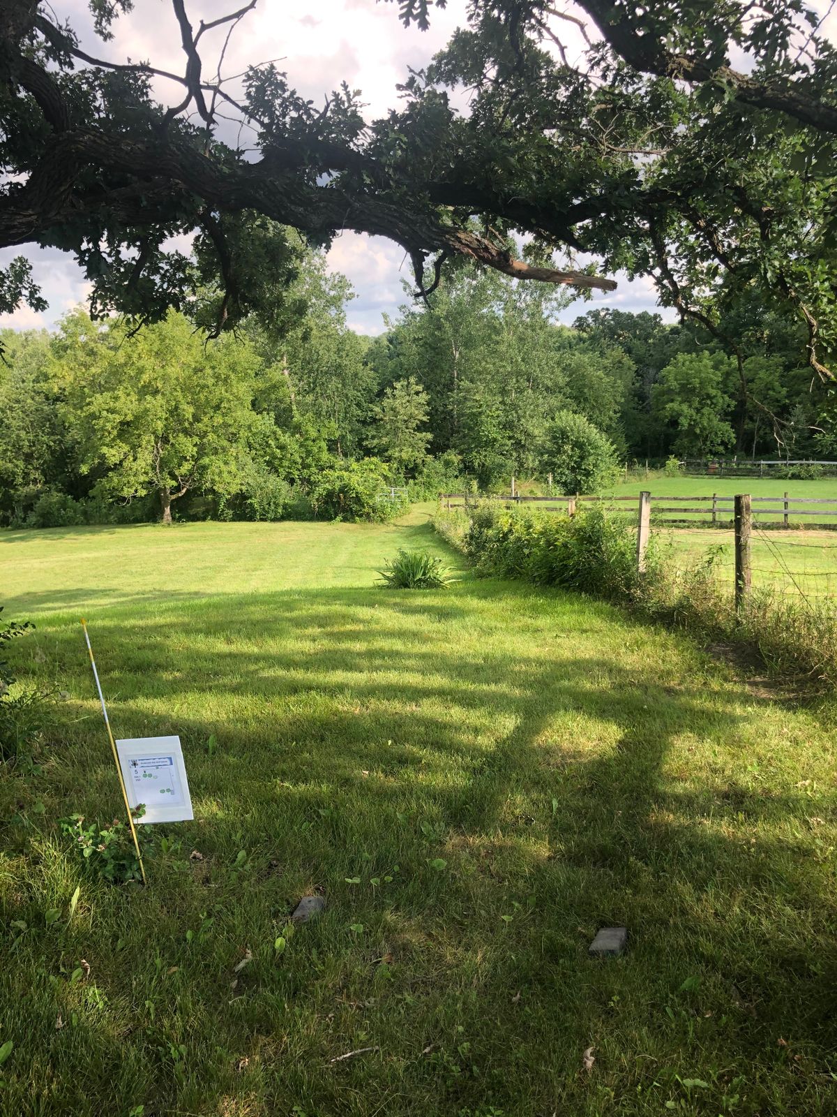 Tee Hole 5 (fence right and straight OB)