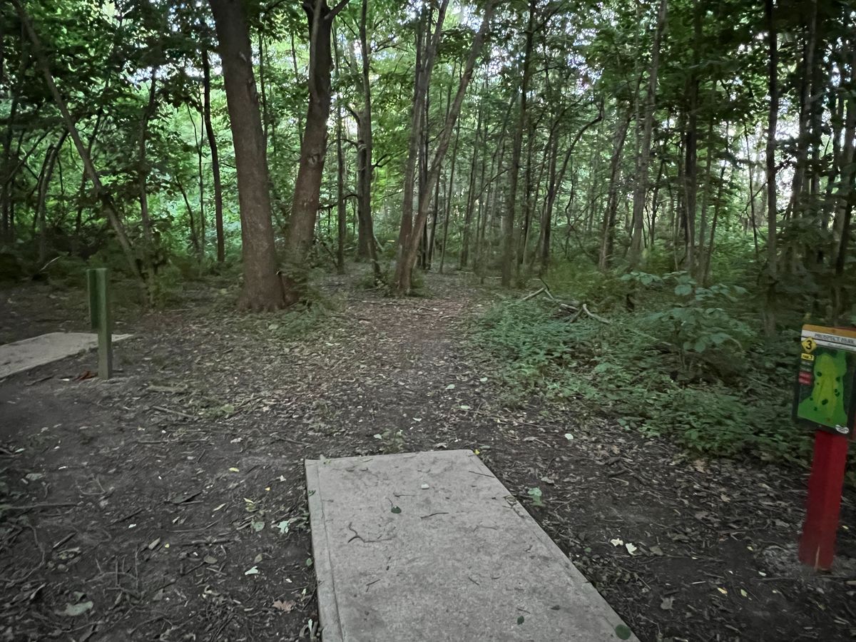Hole 3