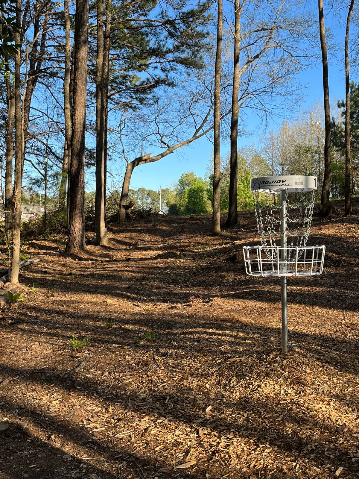Hole 1 short basket