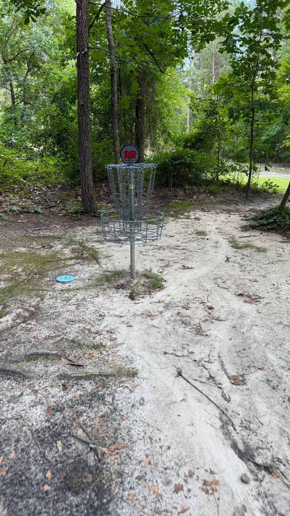 Hole 16 Basket