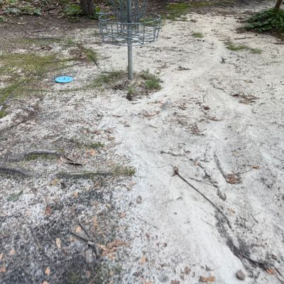 Hole 16 Basket