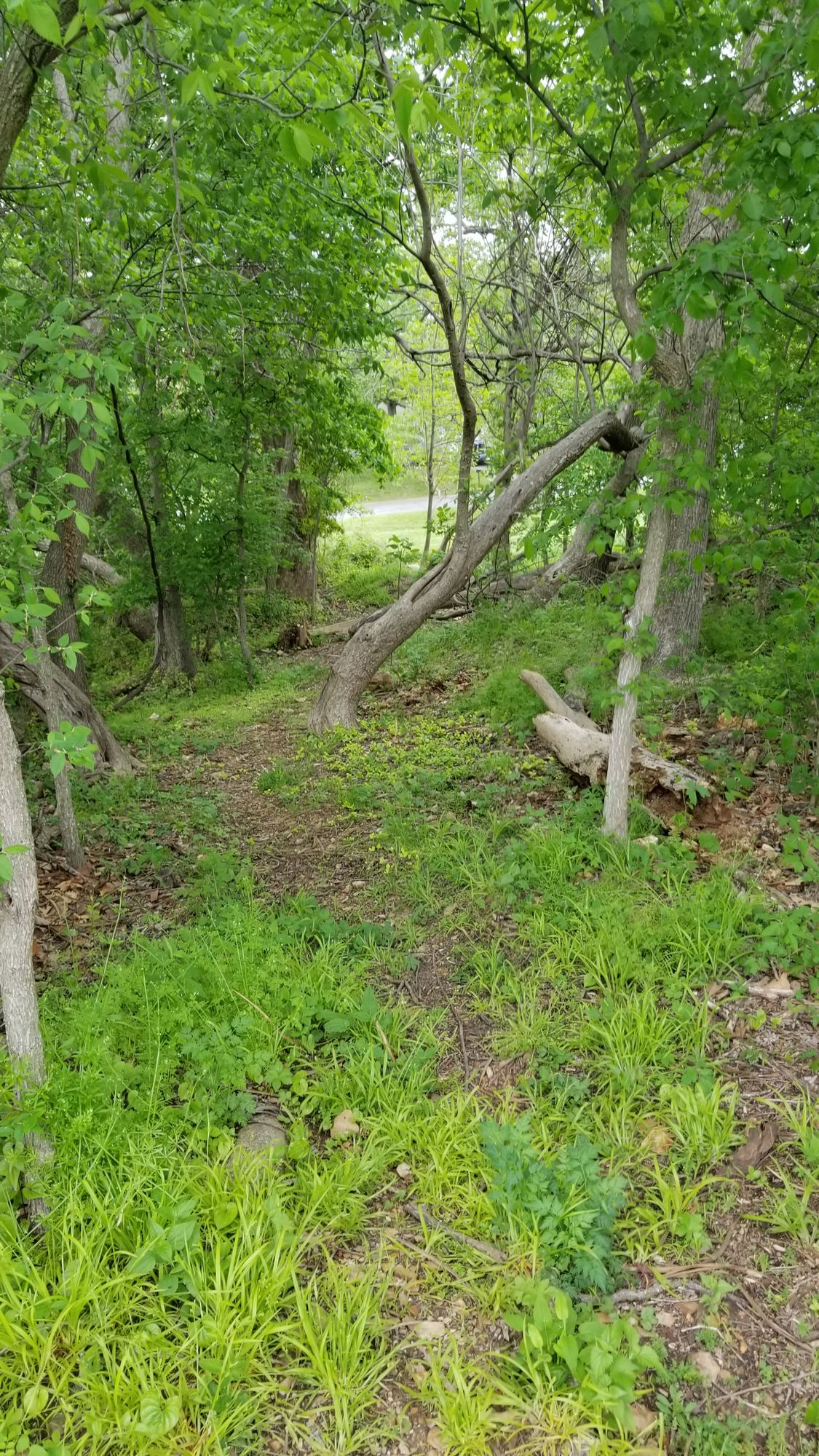 Hole approach