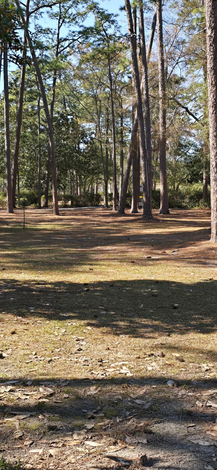 From hole 4 tee pad